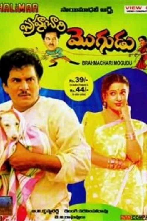 Brahmachari Mogudu (movie)