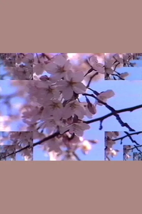 Rock Video: Cherry Blossom