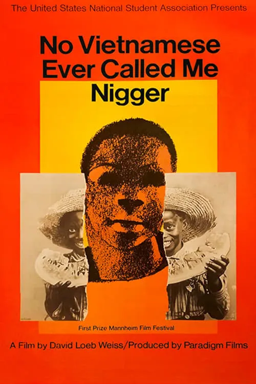 No Vietnamese Ever Called Me Nigger (фильм)