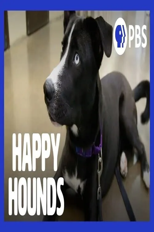 Happy Hounds (movie)