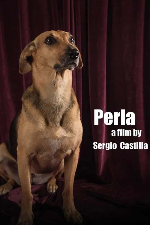 Perla: La Película (фильм)