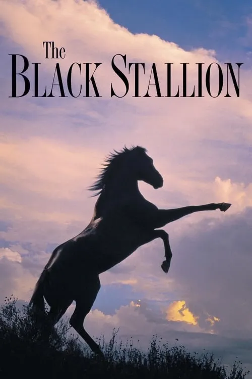 The Black Stallion (movie)