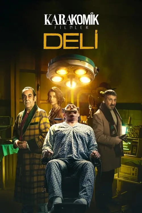 Karakomik Filmler 2: Deli (фильм)