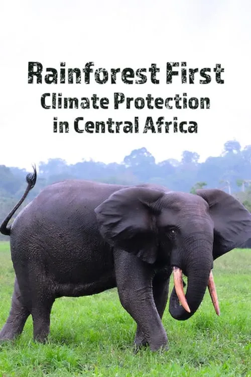 Rainforest First: Climate Protection in Central Africa (movie)