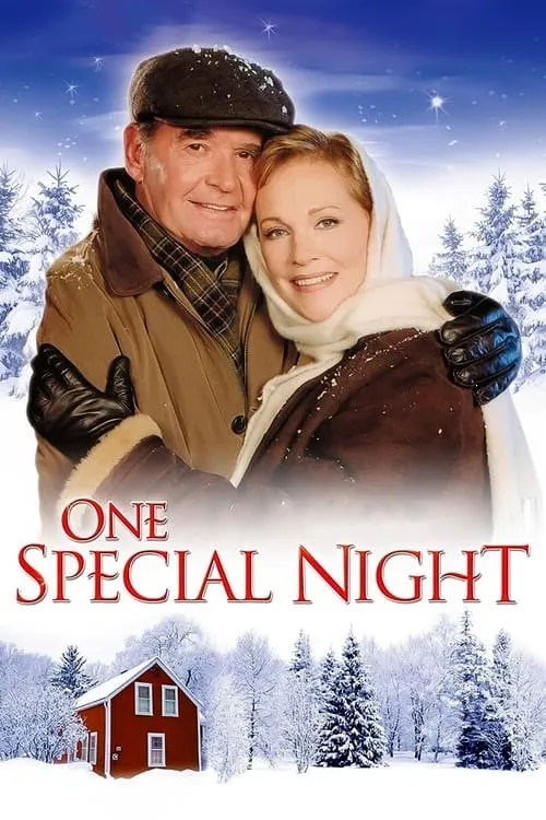 One Special Night (movie)