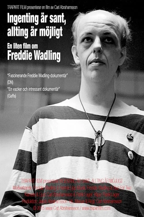 Ingenting är sant, allting är möjligt – en liten film om Freddie Wadling (movie)