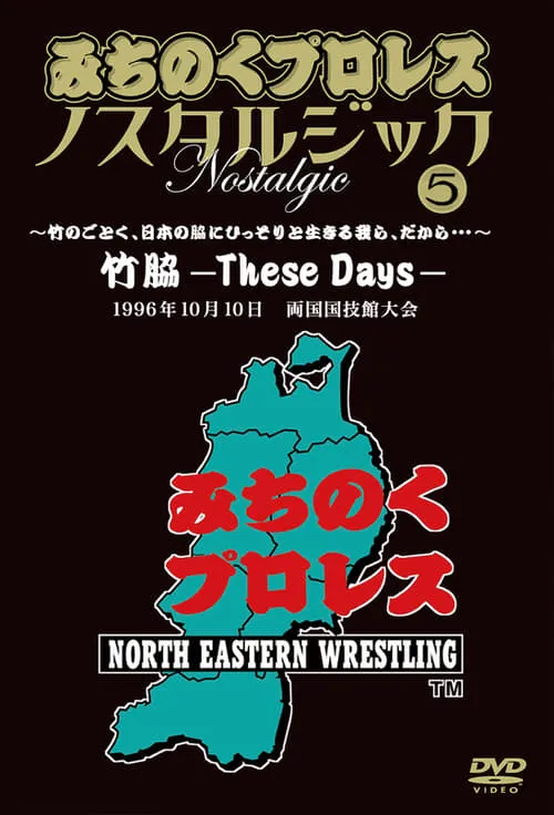 Michinoku Pro 3rd Anniversary: These Days (фильм)