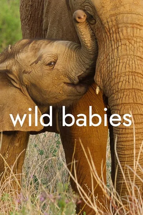 Wild Babies (series)