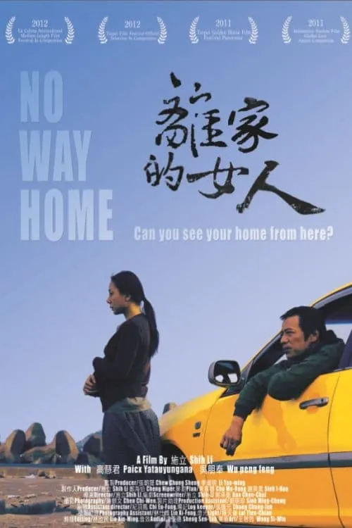 No Way Home (movie)