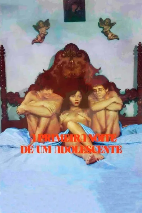 A Primeira Noite de um Adolescente (фильм)