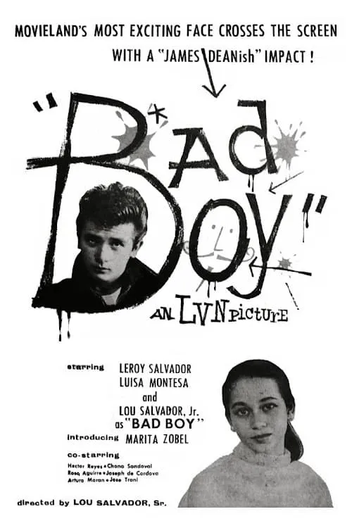 Bad Boy (movie)