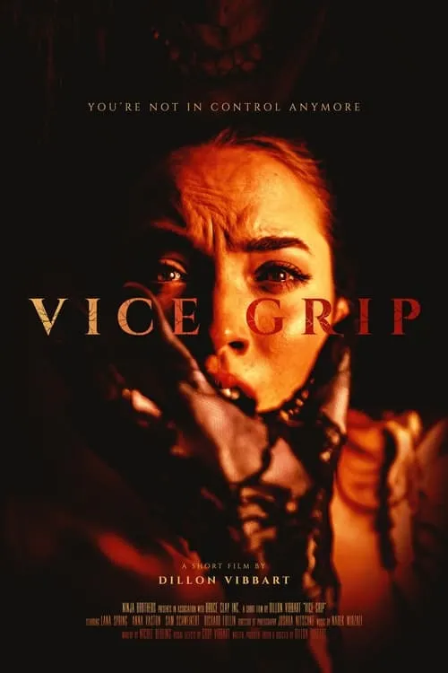 Vice Grip (movie)