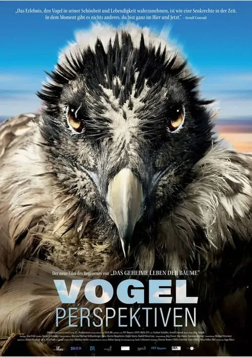 Vogelperspektiven (фильм)