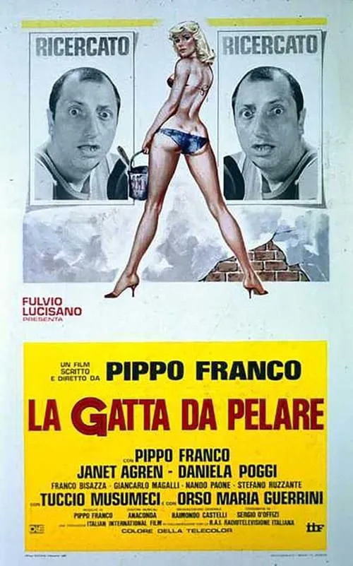 La gatta da pelare (movie)