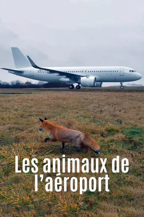 Les animaux de l’aéroport