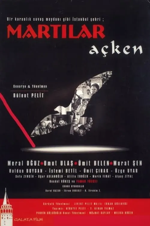 Martılar Açken (movie)