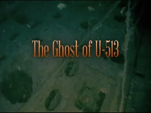 The Ghost of U-513