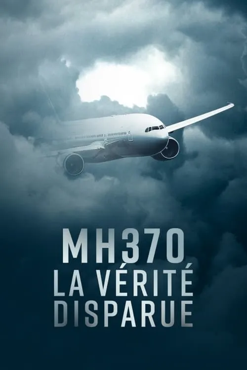 MH370, la vérité disparue (сериал)