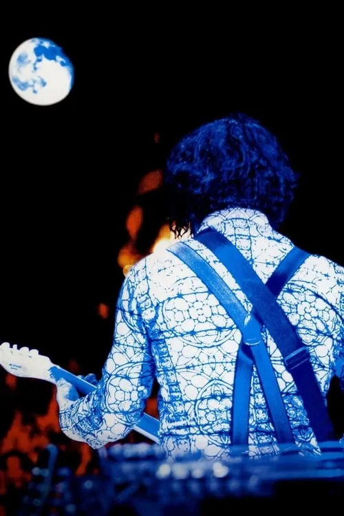 Jack White: Live from Bonnaroo 2014 (movie)