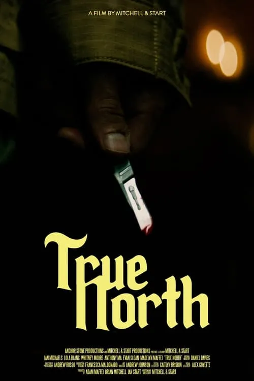 True North (фильм)