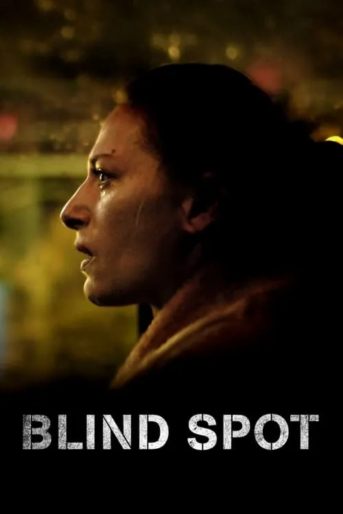 Blind Spot (movie)