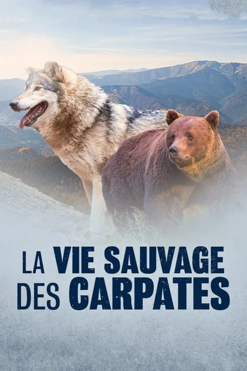 La Vie sauvage des Carpates (movie)