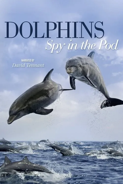 Dolphins: Spy in the Pod (сериал)