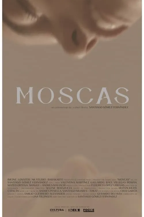 Moscas