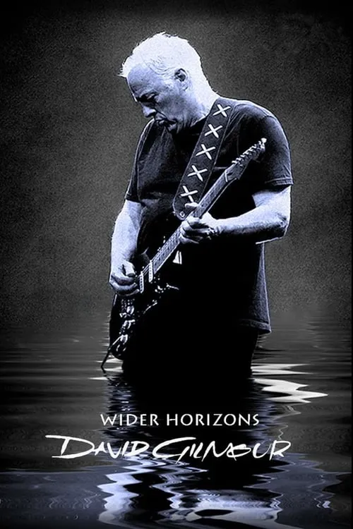 David Gilmour: Wider Horizons (фильм)