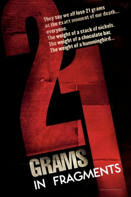 21 Grams: In Fragments (movie)