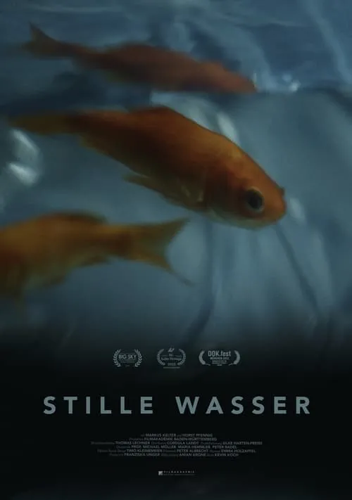 Silent Waters (movie)