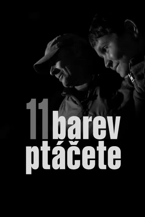 11 barev ptáčete