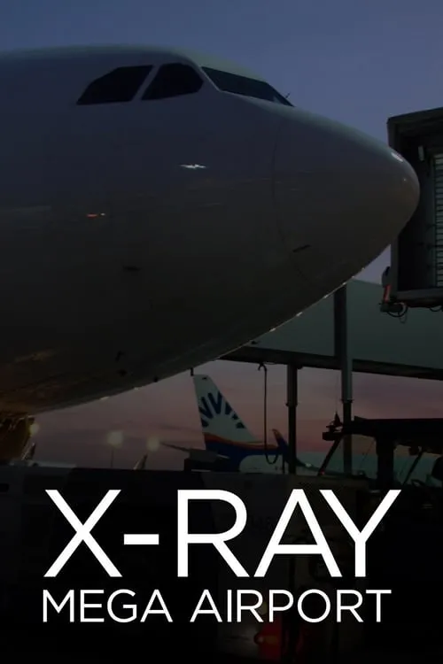 X-Ray Mega Airport (сериал)