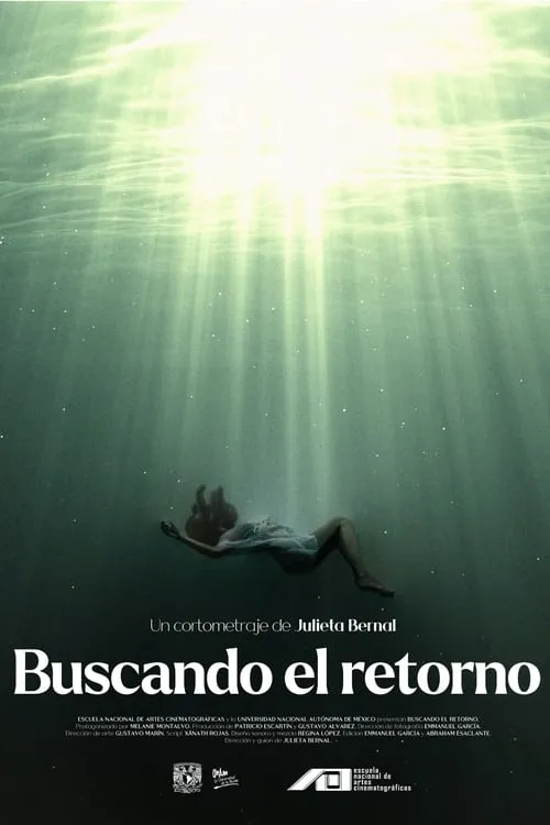 Buscando el retorno (фильм)