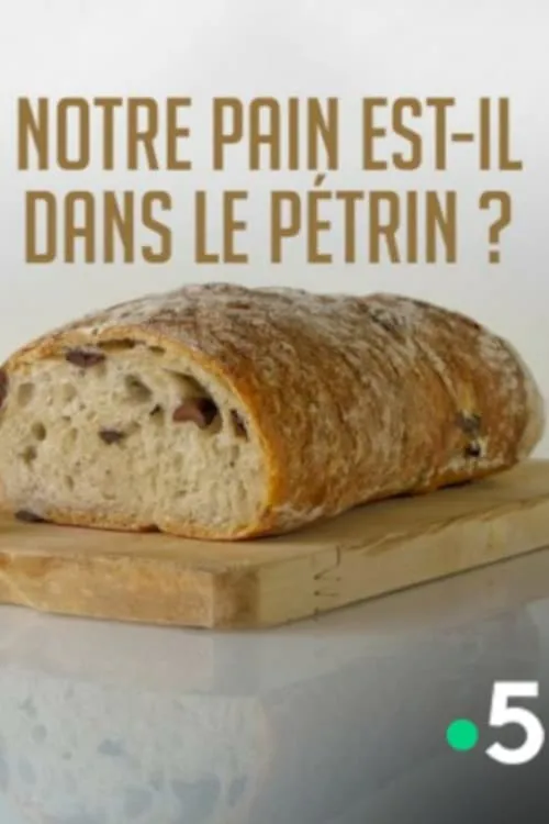 Notre pain est-il dans le pétrin ? (фильм)