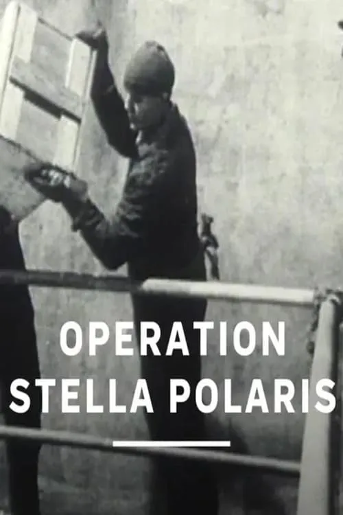 Operation Stella Polaris (movie)