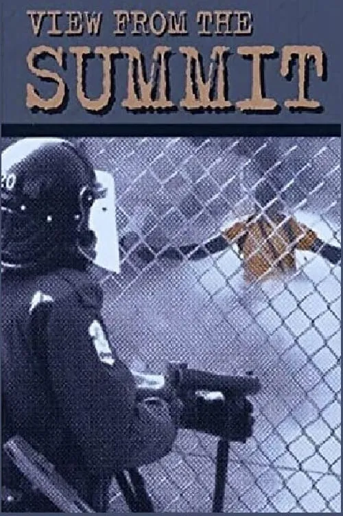 View from the Summit (movie)