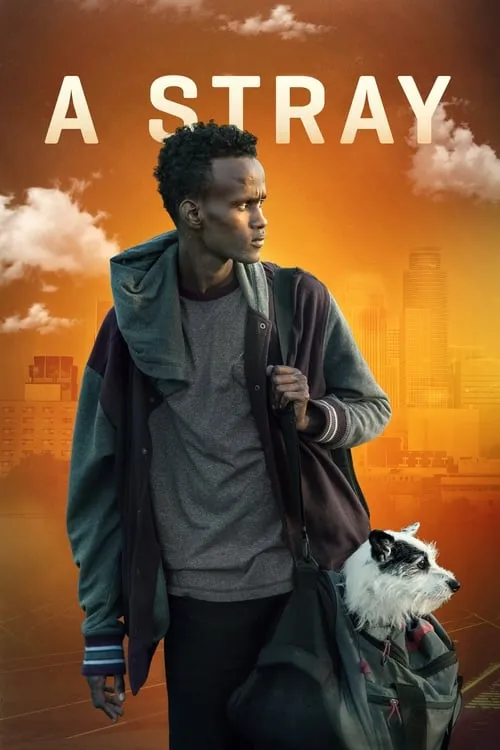 A Stray (movie)