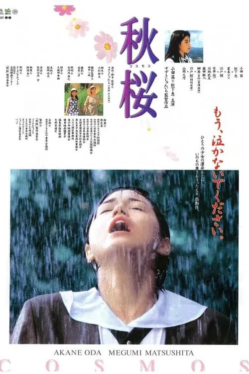 Remembering the Cosmos Flower (movie)