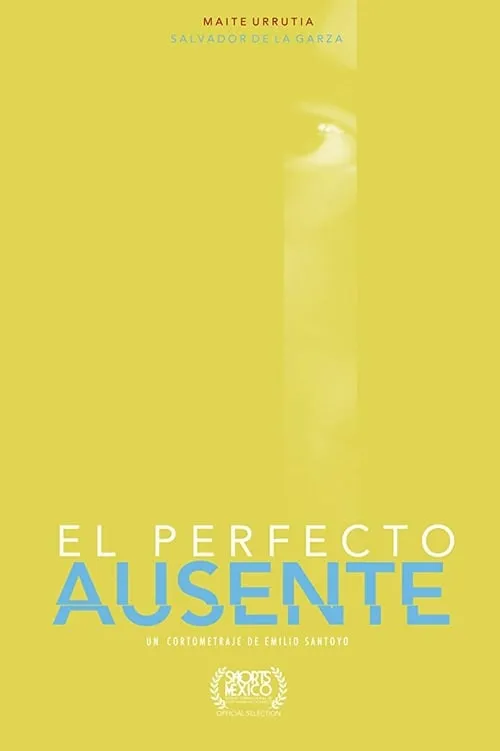 The Perfect Absent (movie)