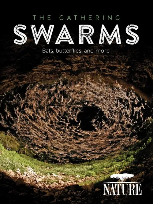 The Gathering Swarms (movie)