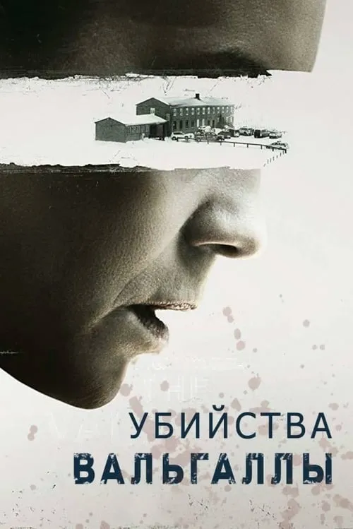 Убийства Вальгаллы (сериал)