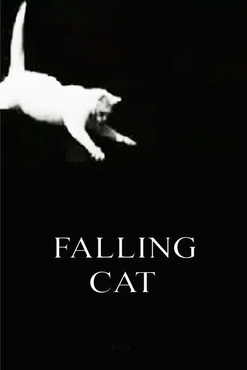 Falling Cat (фильм)