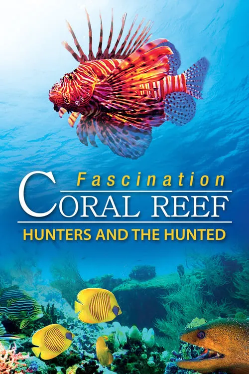 Fascination Coral Reef: Hunters and the Hunted (movie)