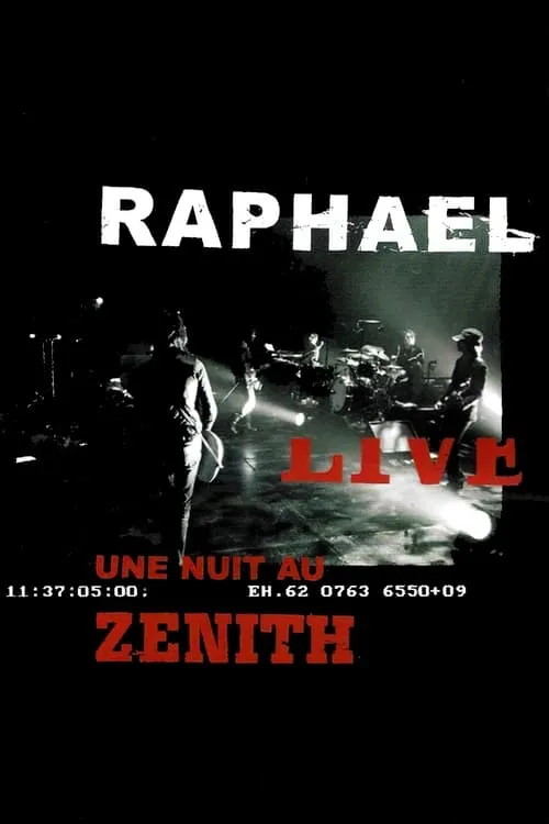 Raphael-Live au Zenith (movie)