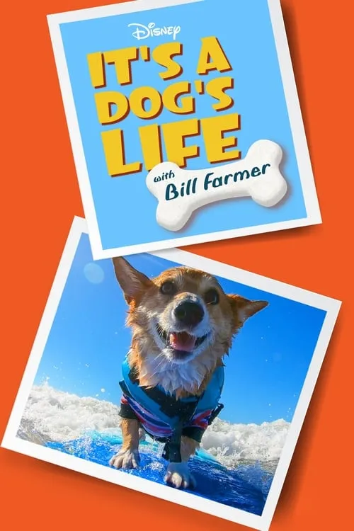 It's a Dog's Life with Bill Farmer (сериал)