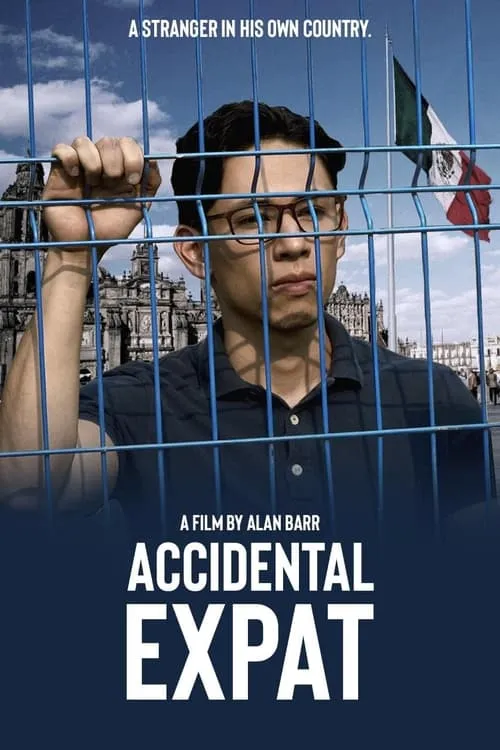 Accidental Expat (movie)