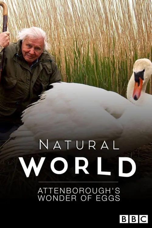 Attenborough's Wonder of Eggs (movie)