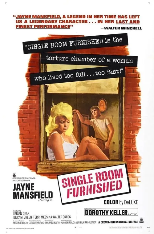 Single Room Furnished (movie)