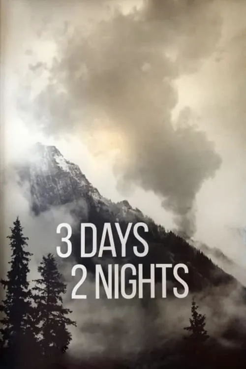 3 Days 2 Nights (movie)